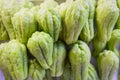 Chayote Sechium edule fruit - fresh chayote squash in the vegetable market Royalty Free Stock Photo