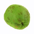 Chayote Vegetable Bottom Royalty Free Stock Photo