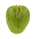 Chayote Vegetable Side View Center Royalty Free Stock Photo