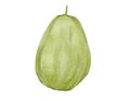 chayote watercolor illustration isolated element Royalty Free Stock Photo