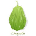 Chayote on white background