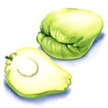 Chayote on white background