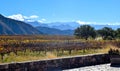Sunny day in the vineyard with the pre-Andean mountains in the background, La Rioja, Argentina
