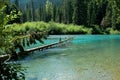 Cheakamus lake Royalty Free Stock Photo