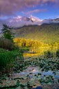 Cheam Lake Wetlands Regional Park, Rosedale, British Columbia, Canada Royalty Free Stock Photo