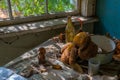 Cheburashka toy in a house inside of the Chernobyl Exclusion Zone in the Ukraine