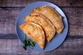 Chebureks with meat. Deep-fried flat pie. A traditional dish.