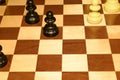 Chechered board under white chessmen like a sport backdrop Royalty Free Stock Photo