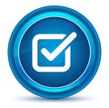 Check box icon eyeball blue round button