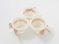 Check miniature baskets of vines on a white background Royalty Free Stock Photo