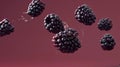 Check out this mesmerizing close-up of floating blackberries against a vibrant pink backdrop