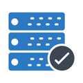 Check server glyph color vector icon
