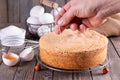 Check a sponge cake for doneness by using the toothpick test Royalty Free Stock Photo