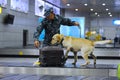 Almaty, Kazakhstan - 10.08.2015 : Border patrol officers with a dog check luggage at the airport