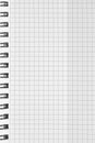 Checked spiral notebook background pattern, vertical chequered squared open notepad copy space, stapled blank empty blocknote