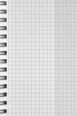 Checked spiral notebook background pattern, vertical chequered squared open notepad copy space, stapled blank empty blocknote