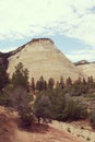 Checkerboard Mesa, Zion Canyon National Park, Utah. Royalty Free Stock Photo