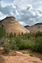 Checkerboard Mesa at Zion Royalty Free Stock Photo