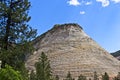 Checkerboard Mesa Zion National Park in Utah Royalty Free Stock Photo