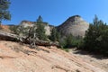 Checkerboard Mesa in Zion National Park Royalty Free Stock Photo