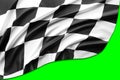 Checkered flag on green Royalty Free Stock Photo