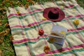 Checkered blanket with fringes, red fedora, apple, and open book covered with yellow fallen leaves. Fall/autumn picnic on grass wi Royalty Free Stock Photo