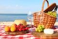 Checkered blanket with picnic basket and products on sunny Royalty Free Stock Photo