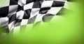 Checkered flag on green Royalty Free Stock Photo
