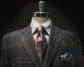 Checkered Jacket, Striped Shirt, Tie (Horizontal) Royalty Free Stock Photo