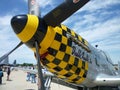 Checkered P51 Mustang Royalty Free Stock Photo