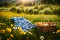 Checkered picnic duvet with empty basket on the blossoming meadow