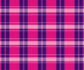 Checkered red and blue pattern of the loincloth vector