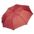 The checkered umbrella isolated against white background