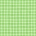 Abstract seamless pattern with grid checkerred. Simple light green background.Vector illustration.