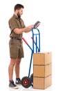 Checking the delivery status Royalty Free Stock Photo