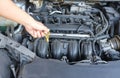 Checking Engine Oil Royalty Free Stock Photo