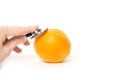 Checking, examining oranges, fruit. Royalty Free Stock Photo