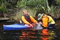 Checking the nets