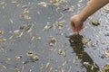 Checking the quality of water in wastewater. Test tube with a sample in hand. Sewage treatment