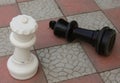 Checkmate with the fallen black king and winning white queen Royalty Free Stock Photo