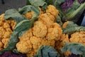 Chedar cauliflower, Brassica oleracea var. botrytis Royalty Free Stock Photo