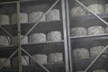 Cheese rounds maturing in underground cave