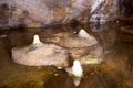 Cheddar Gorge Caves