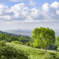 Cheddar Gorge Summer