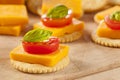 Chedder Cheese and Cracker Appetizer