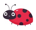 Cheeful ladybug. Cute little ladybird insect cartoon vector illustration