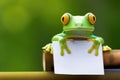 Cheeky Frog Hides Behind Playful Sticky Note