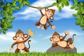 Cheeky monkeys in jungle scene