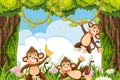 Cheeky monkeys in jungle scene
