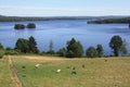 Cheeps grazing beside the lake Ivo